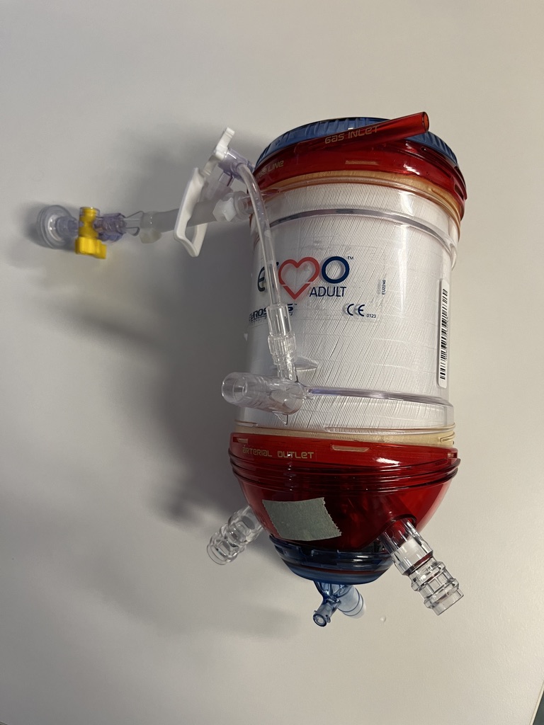 ECMO23 - ECMO - Diario di una vita stravolta