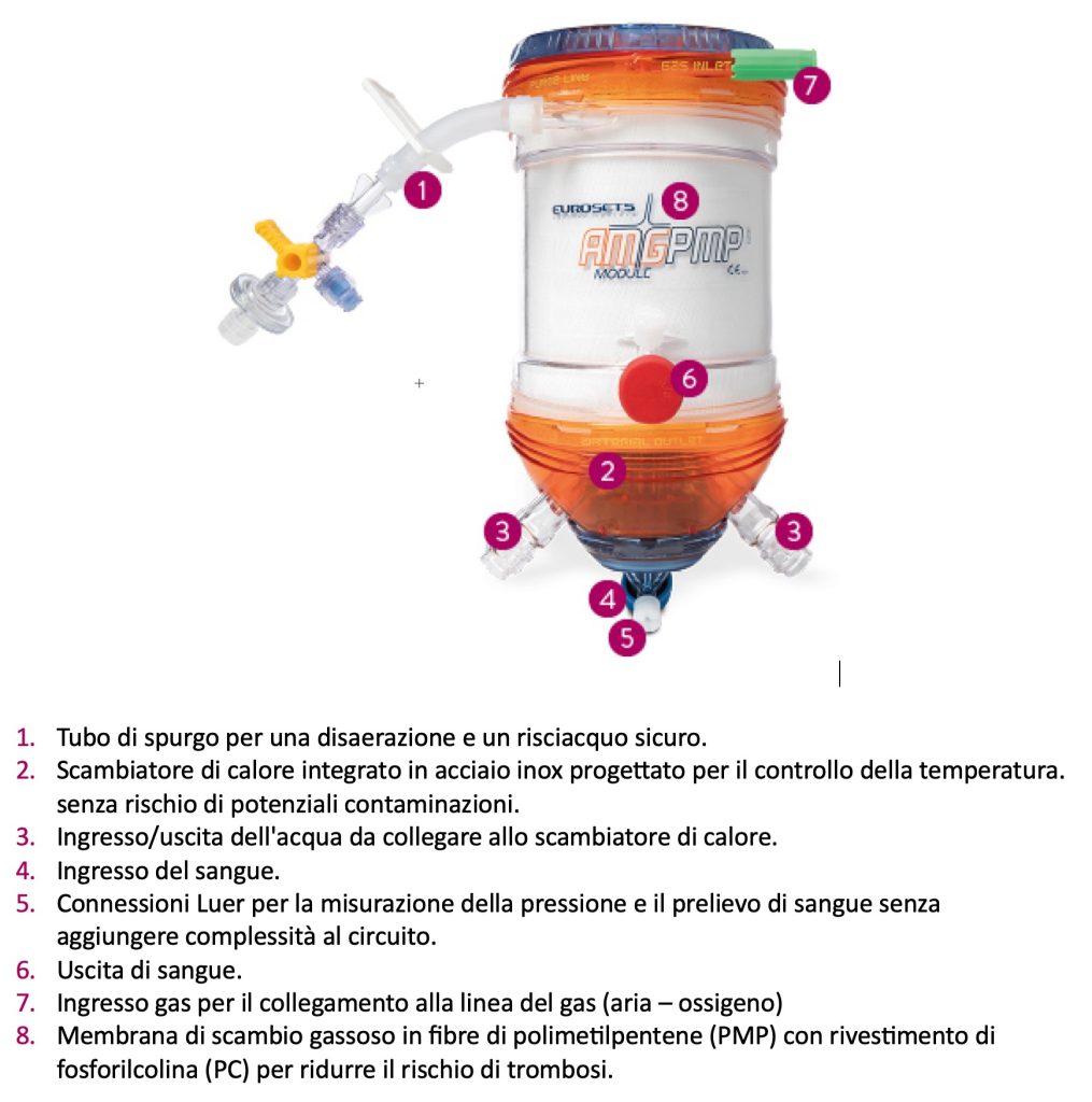 Ossigenatore - ECMO - Diario di una vita stravolta